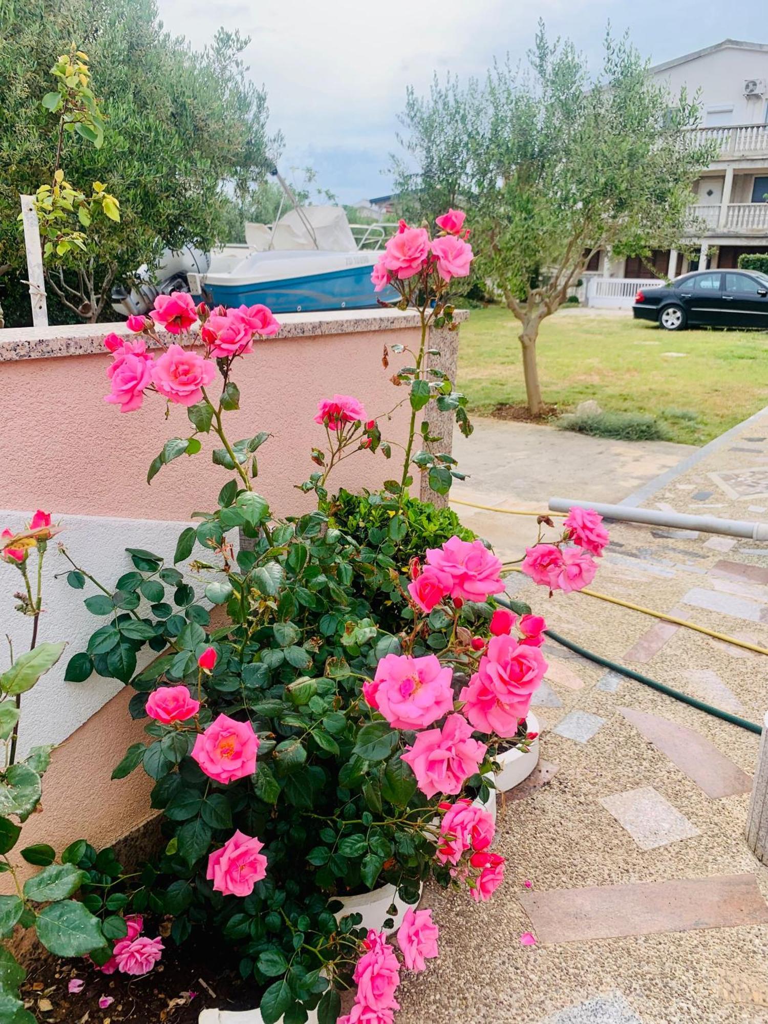 Apartments Barbara 111 Вир Екстериор снимка